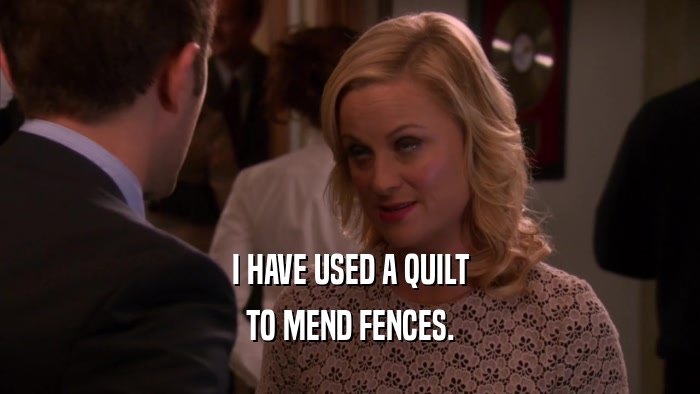 I HAVE USED A QUILT TO MEND FENCES. 