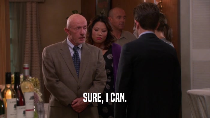 SURE, I CAN.  