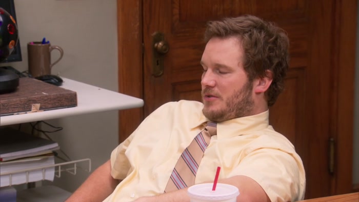 YOU'RE PRESENTING THIS TO RON SWANSON. 