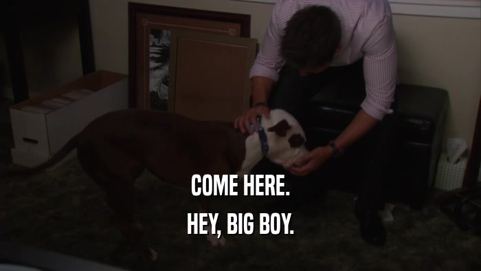 COME HERE. HEY, BIG BOY. 