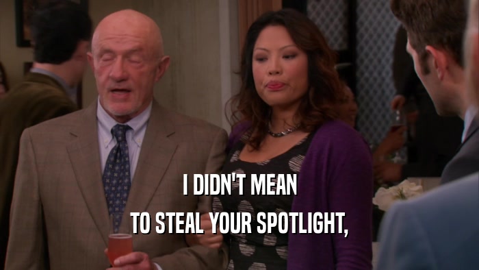 I DIDN'T MEAN TO STEAL YOUR SPOTLIGHT, 