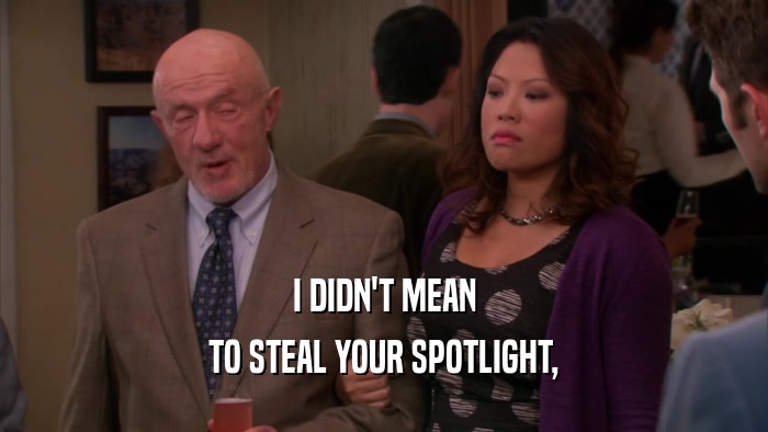 I DIDN'T MEAN TO STEAL YOUR SPOTLIGHT, 