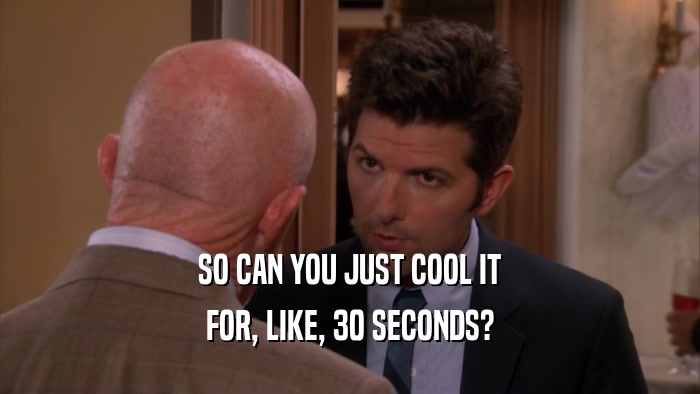 SO CAN YOU JUST COOL IT FOR, LIKE, 30 SECONDS? 