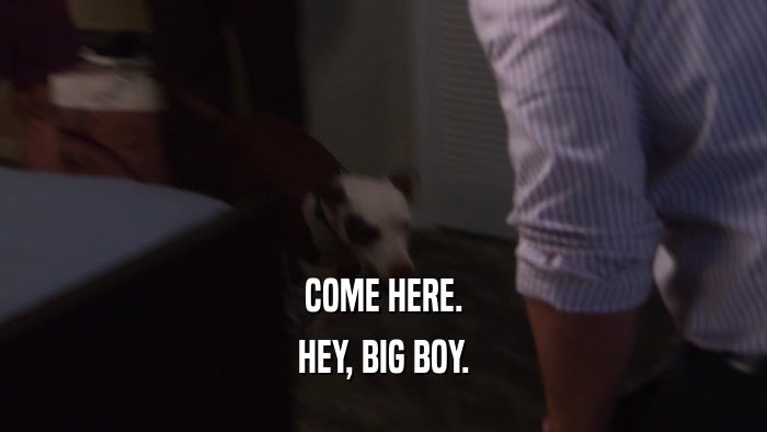COME HERE. HEY, BIG BOY. 