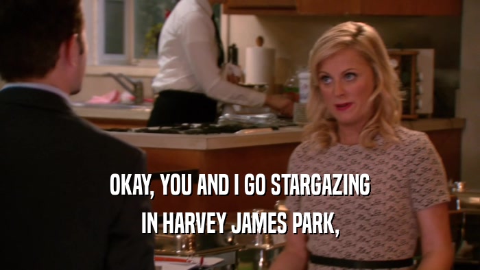 OKAY, YOU AND I GO STARGAZING IN HARVEY JAMES PARK, 