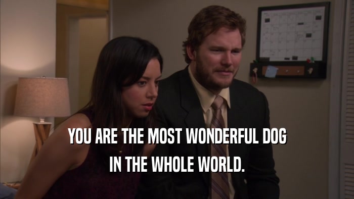 YOU ARE THE MOST WONDERFUL DOG IN THE WHOLE WORLD. 