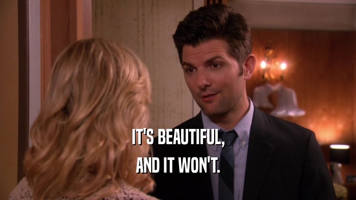 IT'S BEAUTIFUL, AND IT WON'T. 