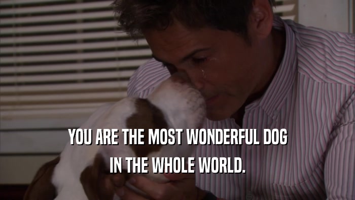 YOU ARE THE MOST WONDERFUL DOG IN THE WHOLE WORLD. 