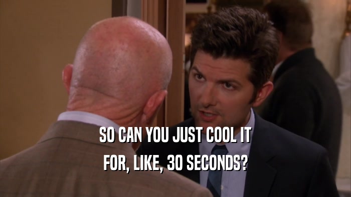 SO CAN YOU JUST COOL IT FOR, LIKE, 30 SECONDS? 