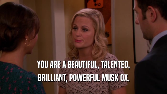 YOU ARE A BEAUTIFUL, TALENTED, BRILLIANT, POWERFUL MUSK OX. 