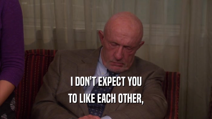 I DON'T EXPECT YOU TO LIKE EACH OTHER, 