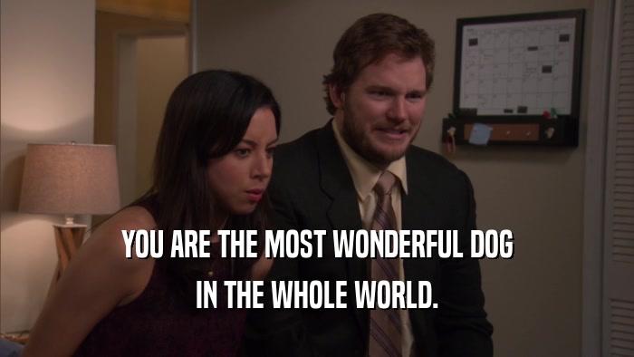 YOU ARE THE MOST WONDERFUL DOG IN THE WHOLE WORLD. 
