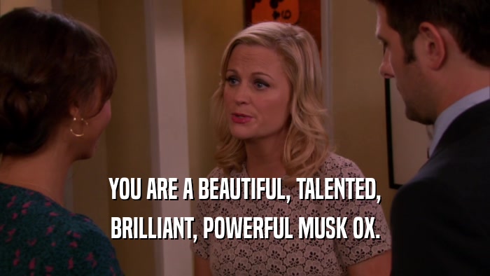 YOU ARE A BEAUTIFUL, TALENTED, BRILLIANT, POWERFUL MUSK OX. 