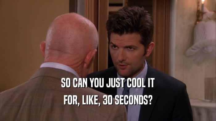 SO CAN YOU JUST COOL IT FOR, LIKE, 30 SECONDS? 