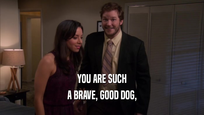 YOU ARE SUCH A BRAVE, GOOD DOG, 