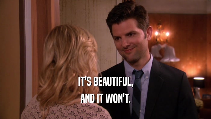 IT'S BEAUTIFUL, AND IT WON'T. 