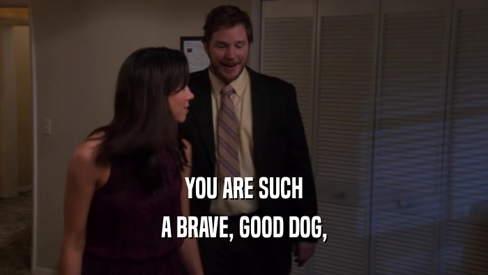 YOU ARE SUCH A BRAVE, GOOD DOG, 