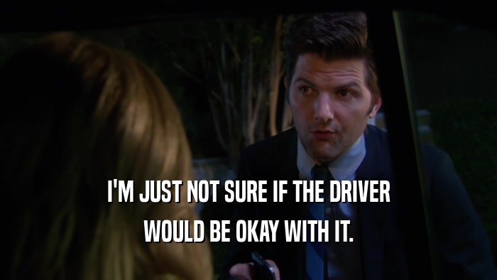 I'M JUST NOT SURE IF THE DRIVER WOULD BE OKAY WITH IT. 