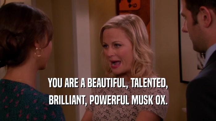 YOU ARE A BEAUTIFUL, TALENTED, BRILLIANT, POWERFUL MUSK OX. 