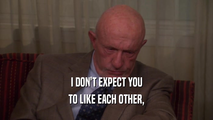 I DON'T EXPECT YOU TO LIKE EACH OTHER, 