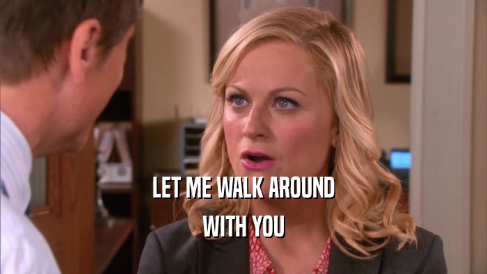 LET ME WALK AROUND WITH YOU 