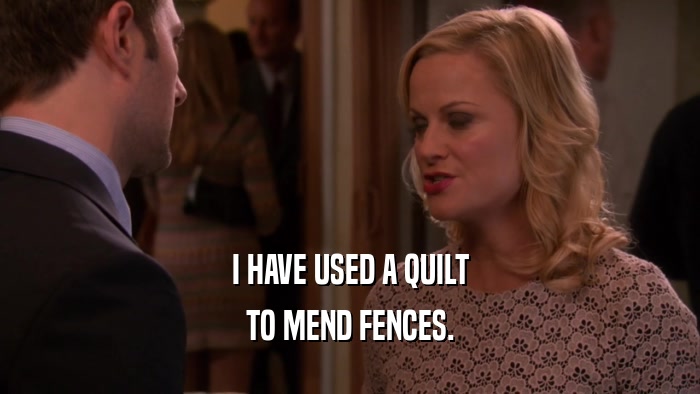 I HAVE USED A QUILT TO MEND FENCES. 