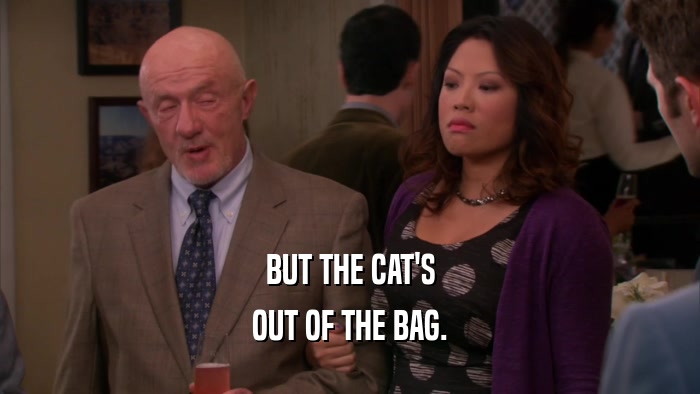 BUT THE CAT'S OUT OF THE BAG. 