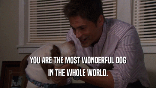 YOU ARE THE MOST WONDERFUL DOG IN THE WHOLE WORLD. 