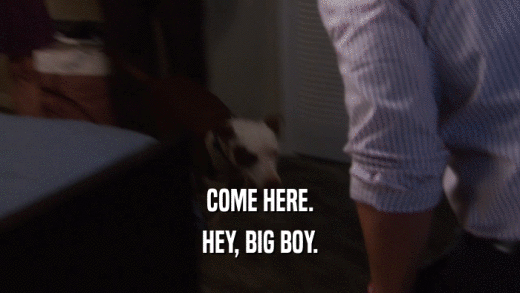 COME HERE. HEY, BIG BOY. 
