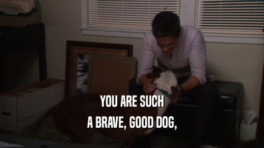 YOU ARE SUCH A BRAVE, GOOD DOG, 