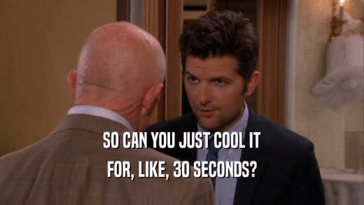 SO CAN YOU JUST COOL IT FOR, LIKE, 30 SECONDS? 