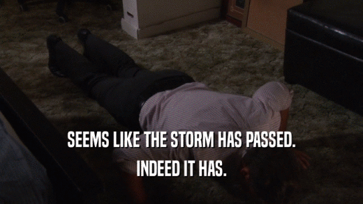 SEEMS LIKE THE STORM HAS PASSED. INDEED IT HAS. 