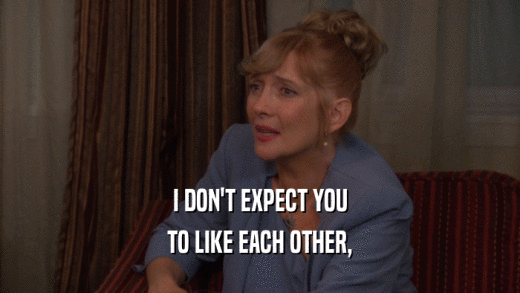 I DON'T EXPECT YOU TO LIKE EACH OTHER, 