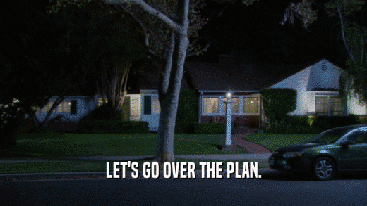 LET'S GO OVER THE PLAN.  