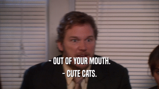 - OUT OF YOUR MOUTH. - CUTE CATS. 