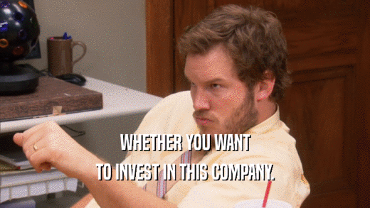 WHETHER YOU WANT TO INVEST IN THIS COMPANY. 