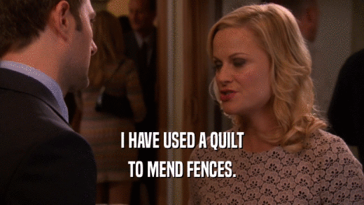 I HAVE USED A QUILT TO MEND FENCES. 