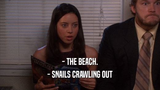 - THE BEACH. - SNAILS CRAWLING OUT 