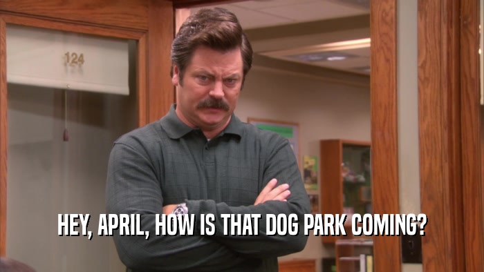 HEY, APRIL, HOW IS THAT DOG PARK COMING?  