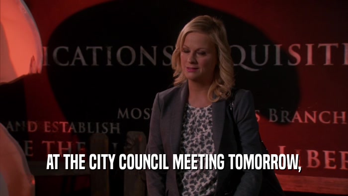 AT THE CITY COUNCIL MEETING TOMORROW,  