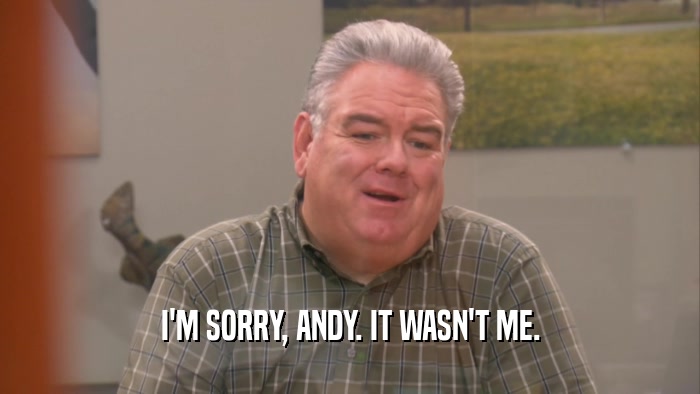 I'M SORRY, ANDY. IT WASN'T ME.  