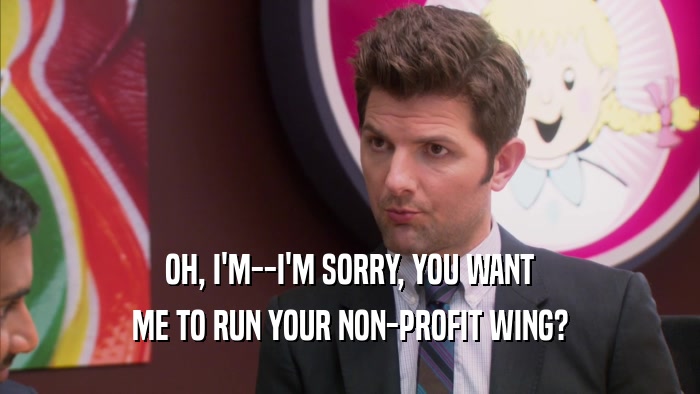 OH, I'M--I'M SORRY, YOU WANT ME TO RUN YOUR NON-PROFIT WING? 