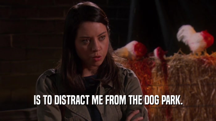 IS TO DISTRACT ME FROM THE DOG PARK.  