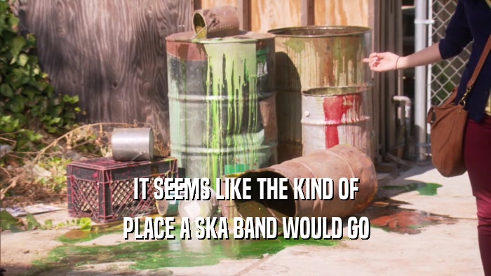 IT SEEMS LIKE THE KIND OF PLACE A SKA BAND WOULD GO 