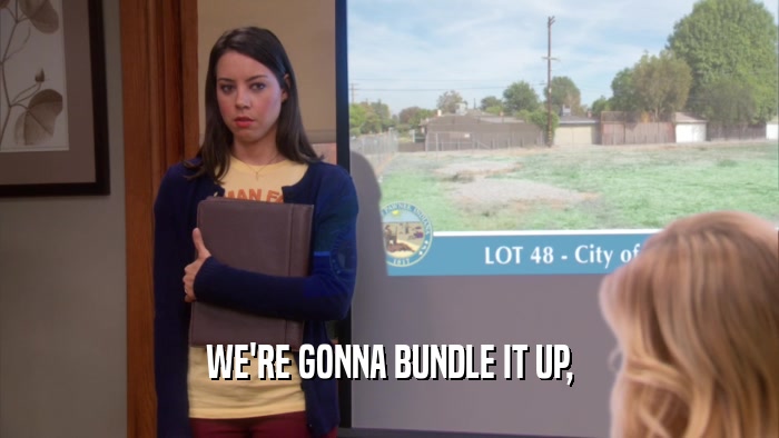 WE'RE GONNA BUNDLE IT UP,  