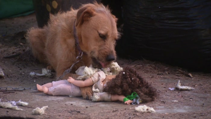 THIS IS-- THIS IS TRAUMATIC FOR ME. 