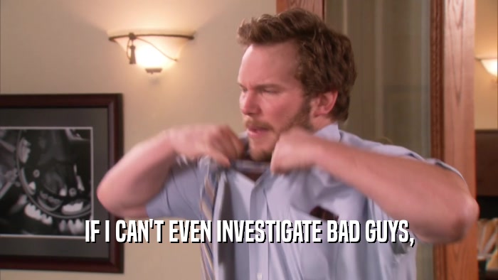 IF I CAN'T EVEN INVESTIGATE BAD GUYS,  