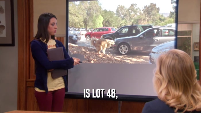 IS LOT 48,  