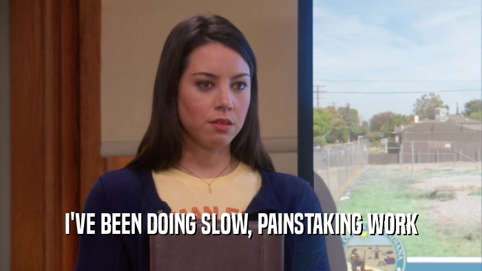 I'VE BEEN DOING SLOW, PAINSTAKING WORK  