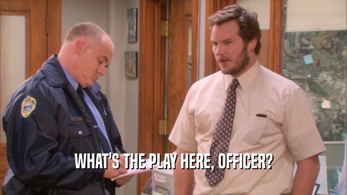 WHAT'S THE PLAY HERE, OFFICER?  